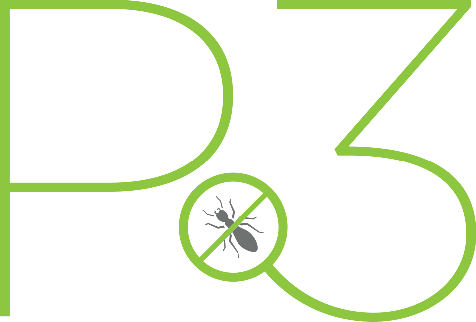 epm_p3_logo
